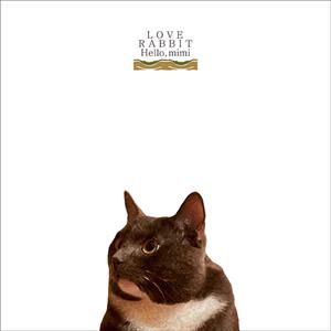 1级大黄片 加州变形人妖东方衣服操逼
