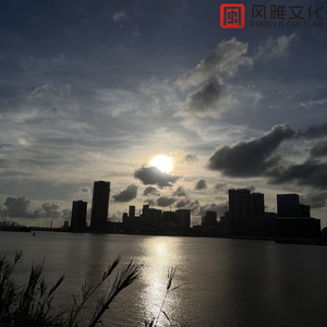 1级大黄片 加州变形人妖东方衣服操逼
